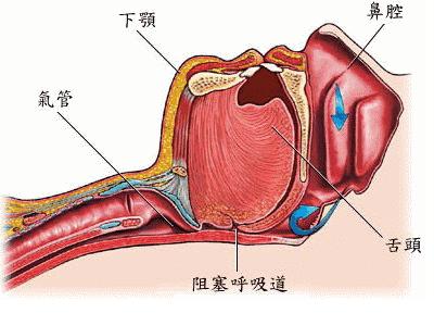睡眠乳胶枕推荐,给大家推荐一款乳胶枕