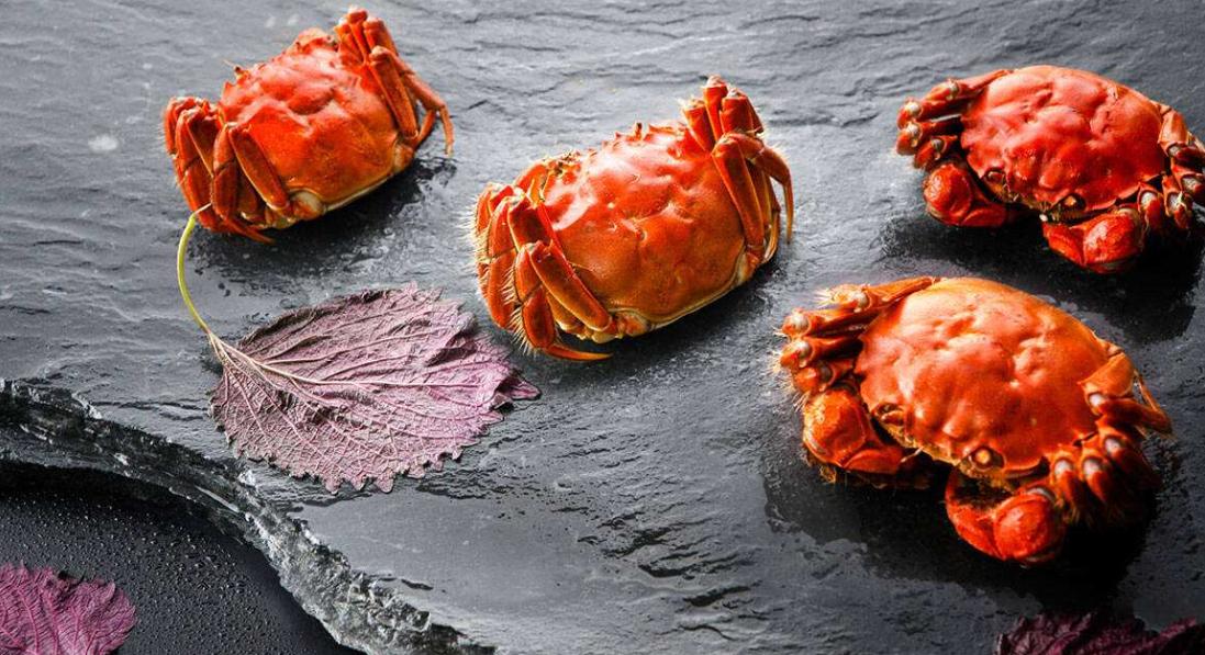 螃蟹怎么挑好吃,螃蟹怎么选好吃