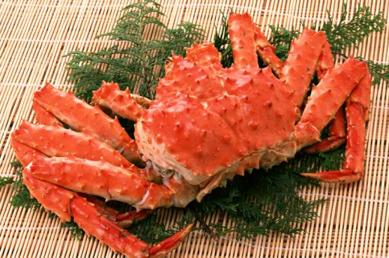 螃蟹怎么挑好吃,螃蟹怎么选好吃