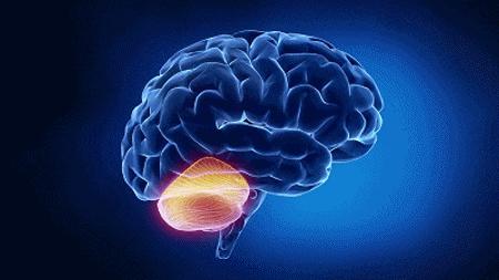 烟给我掐了,把烟给我掐了