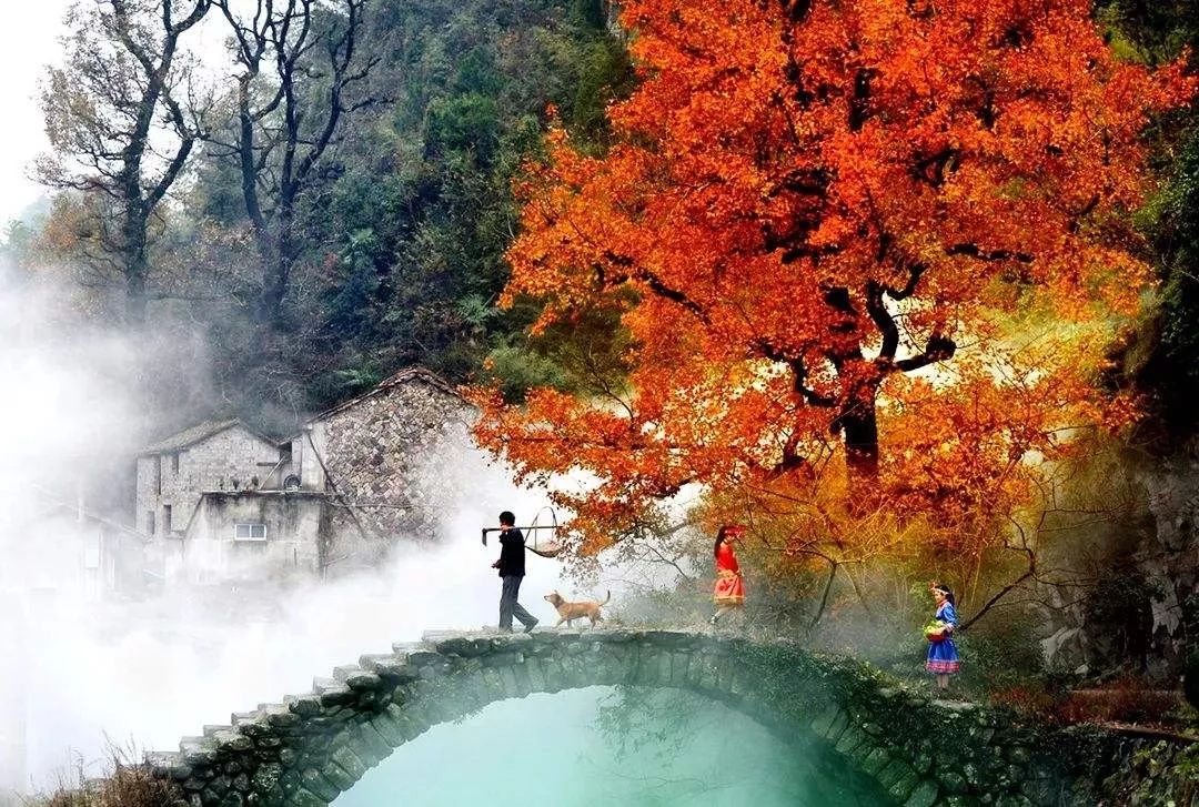 谁说江南无金秋？这座高铁直达的小县城靠一间仙气民宿，就撩到了无数隐居客