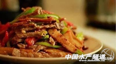 冰冻三文鱼的10种吃法,三文鱼如何挑选最好