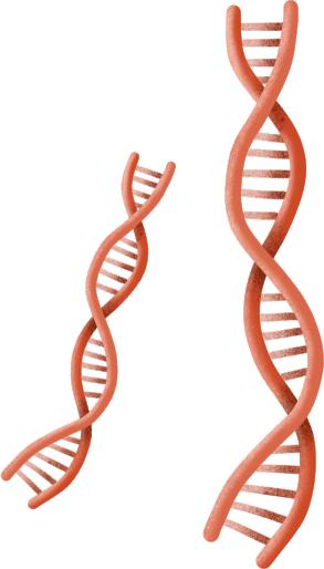 杭州大厦老板童民强,杭州城市故事萧山