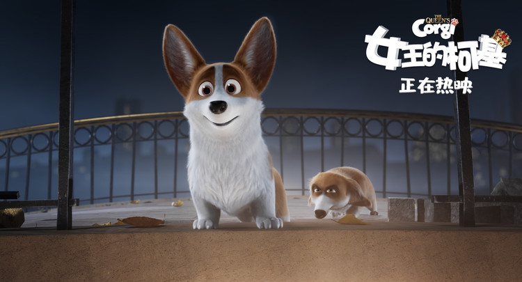 “小短腿”逆袭成第一，电影《女王的柯基》新片段曝光惊喜彩蛋