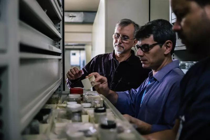 巴西博物馆大火,巴西博物馆大火之谜