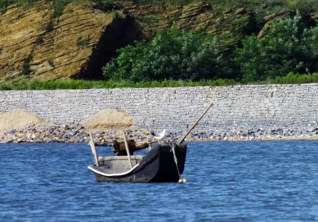 大连开海后的海鲜,开海了吃海鲜去哪个码头最便宜