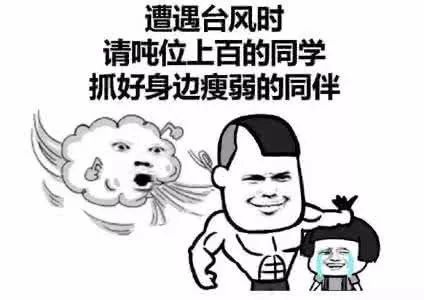 海南停航停运最新消息,停航停运最新消息海口