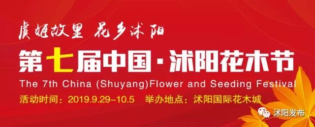 娌槼鏃呮父璺嚎鎺ㄨ崘,姹熻嫃娌槼鏃呮父鏀荤暐璺嚎