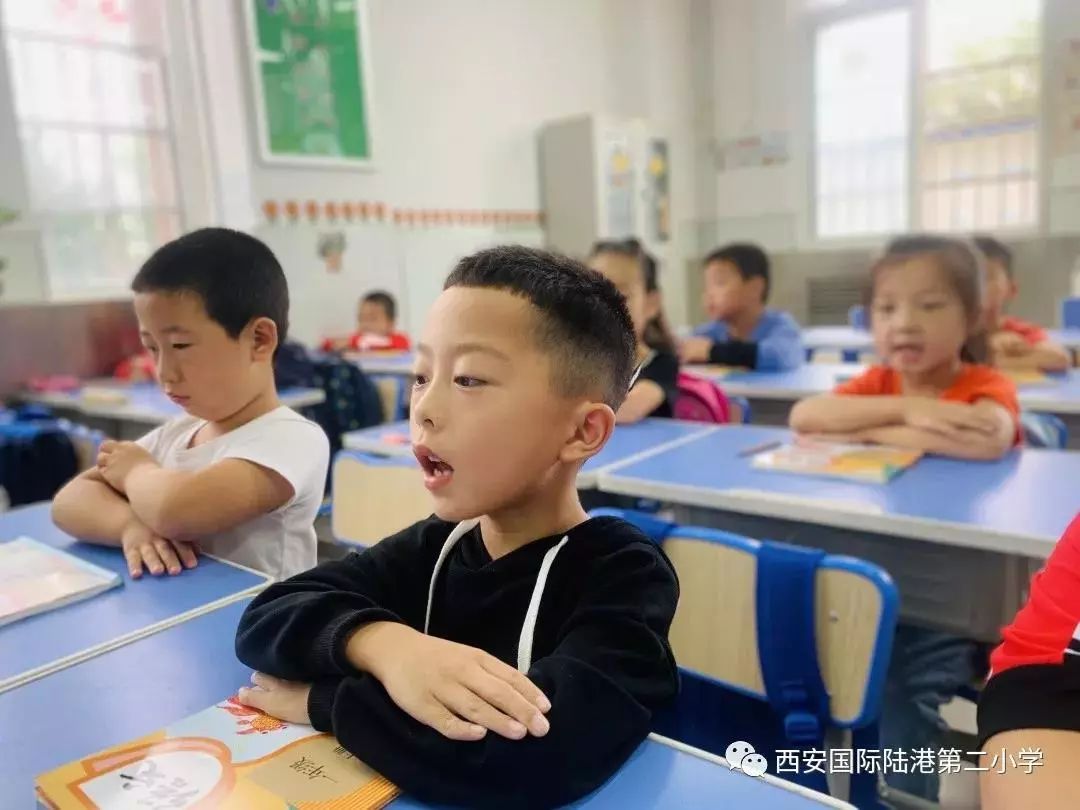 开学啦撒贝宁,开学啦手势舞完整版3分钟