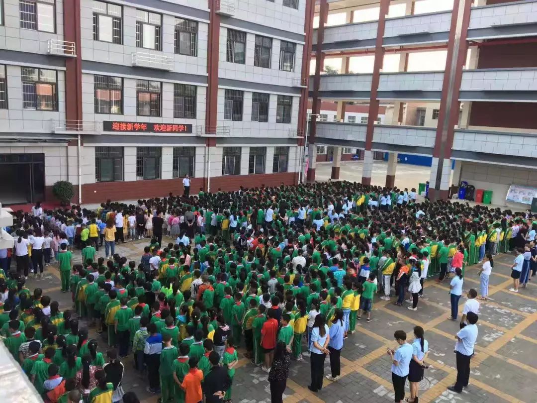 开学啦撒贝宁,开学啦手势舞完整版3分钟