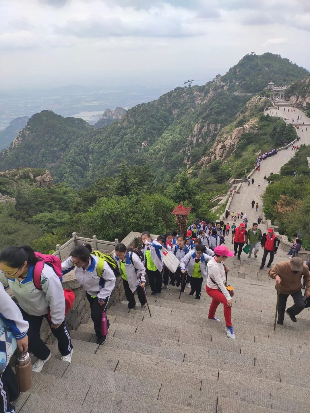 研学泰山,研学行万里探索知天下