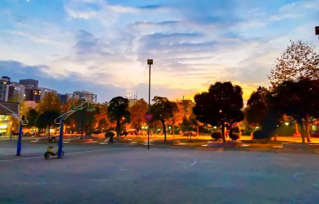 武汉理工新生攻略,武汉理工大学体育馆