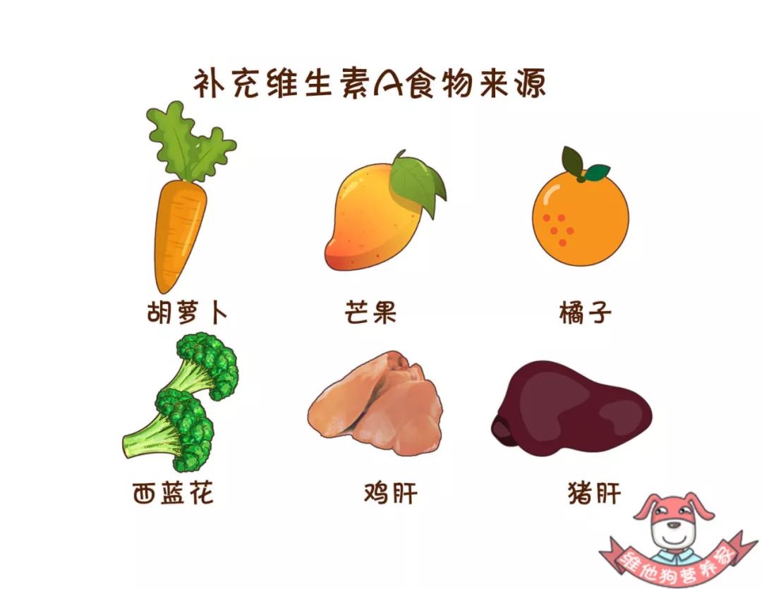 总是熬夜晚睡如何调整自己的作息,如何迅速的把熬夜作息调整回来