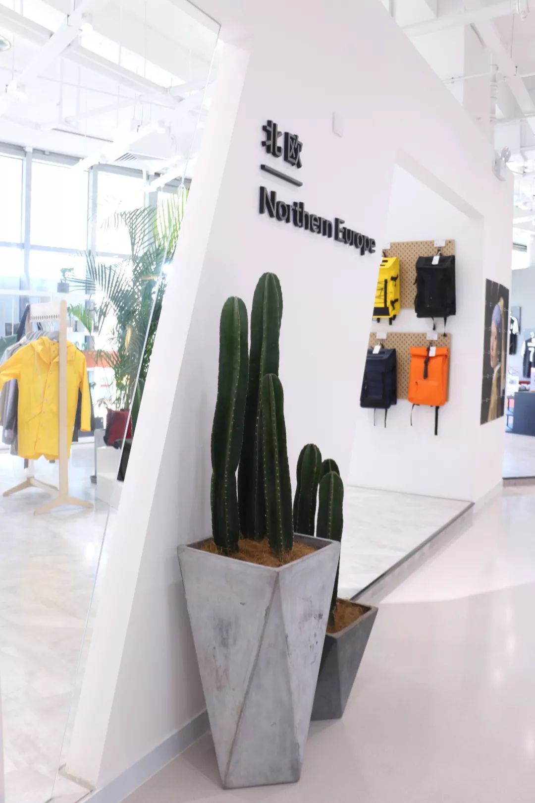 人做梦都想如何挣钱,做梦都在想怎么能挣到大钱