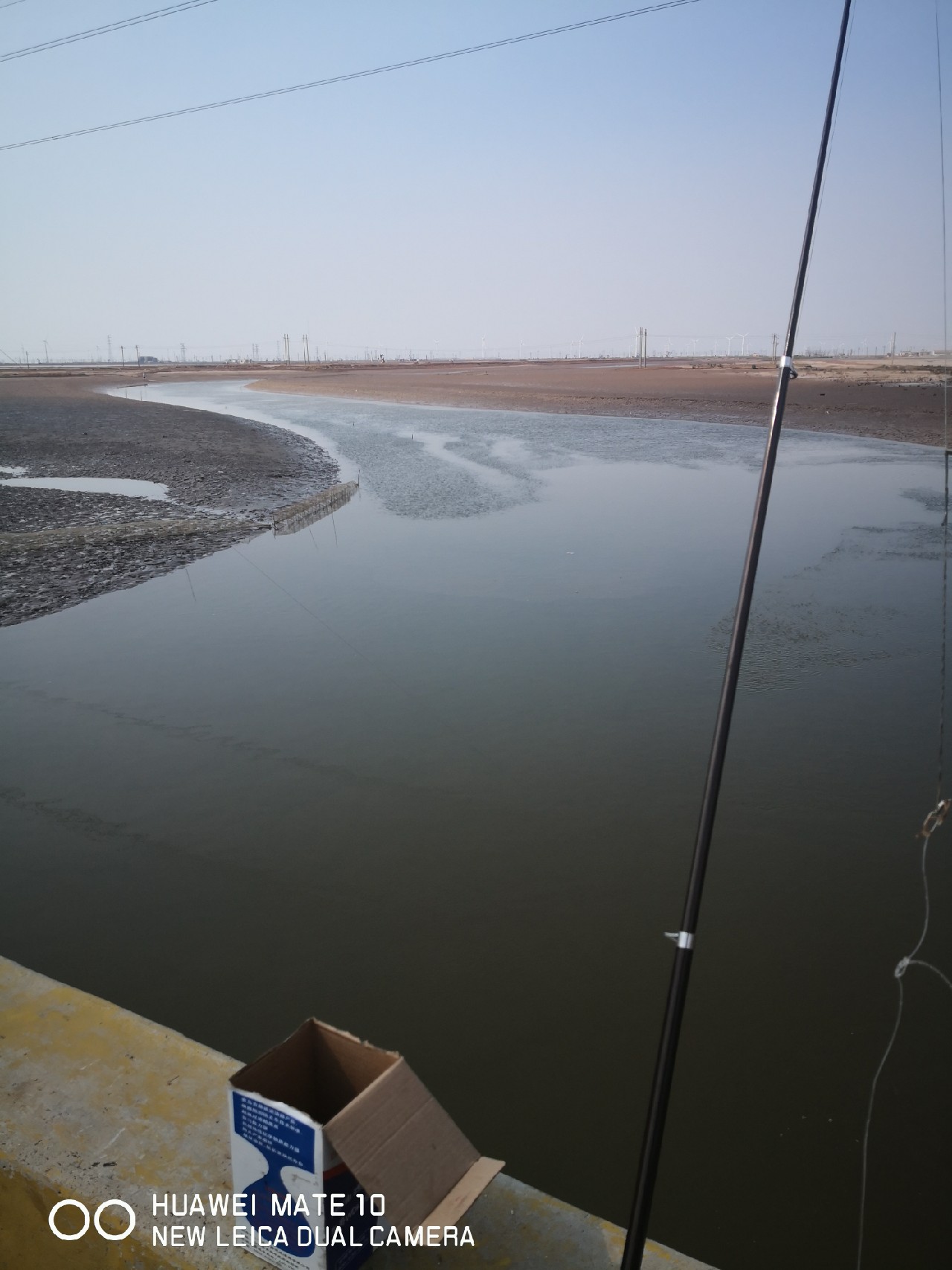 秋风起鲈鱼肥,秋风起虾蟹肥