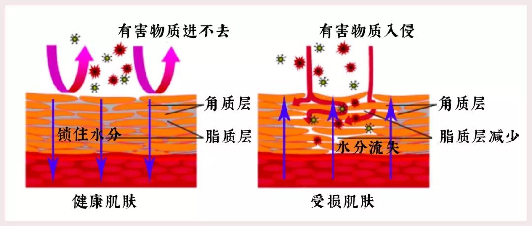 乳液和面霜哪个锁水效果好,补水保湿滋润锁水125ml
