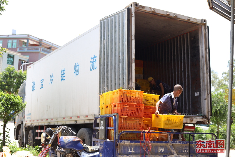 农村电商上的草根,农村电商之农产品上行