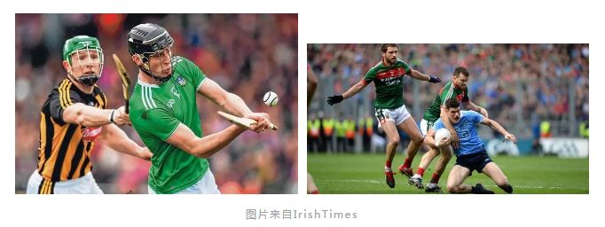 东京橄榄球世界杯,东京橄榄球世界杯2023