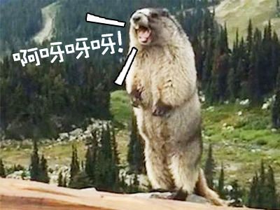 广东考驾照如何异地考,驾考广东异地怎么考科二