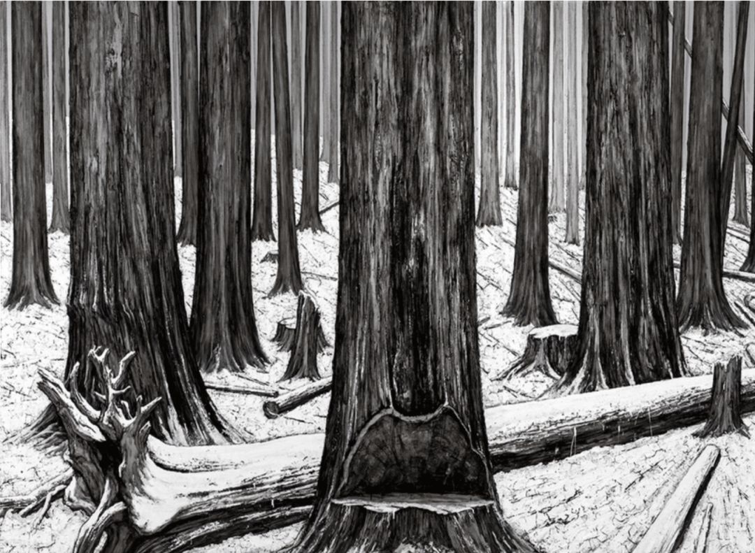 艺术家的画品,艺术家的收藏品