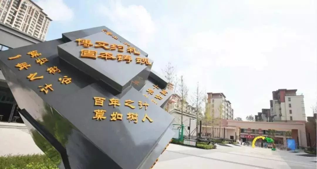 沙坪坝教育学校,沙坪坝最新建学校消息