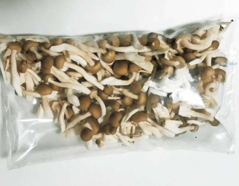 日本主妇省钱秘诀,日本主妇的省钱小方法