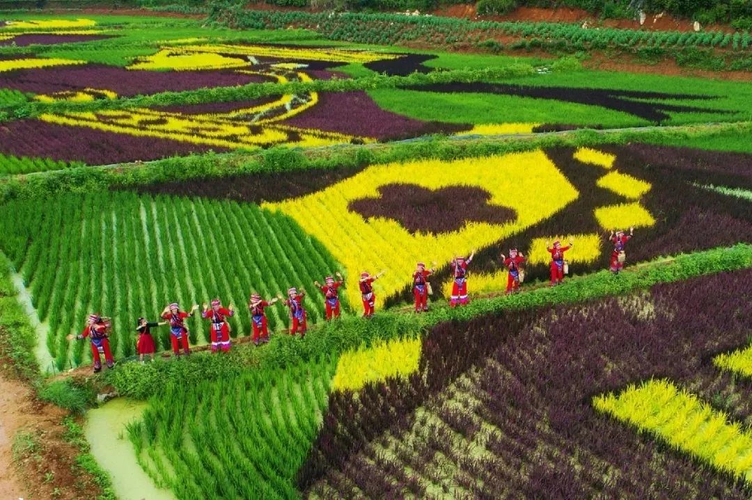 昆明周边景点排行榜前十名,昆明周边温泉一条龙游玩景点推荐