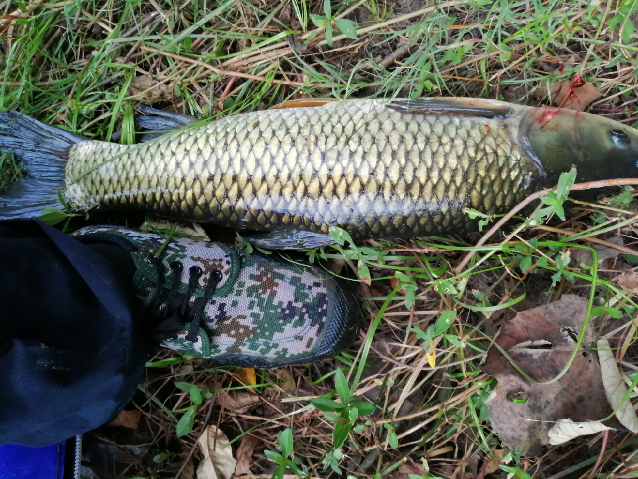 别人对你说钓鱼是什么意思,对于钓鱼各位钓友有什么看法