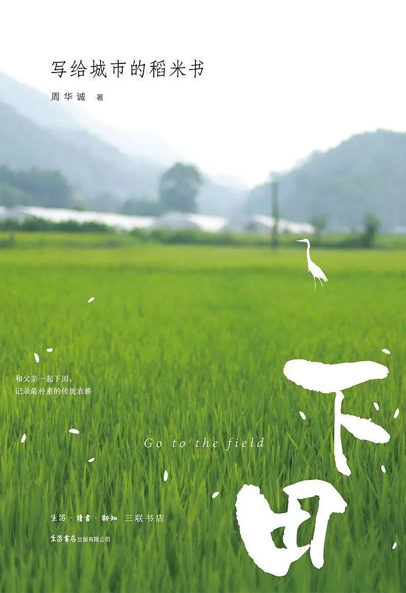 只有稻子并未虚度|此刻夜读