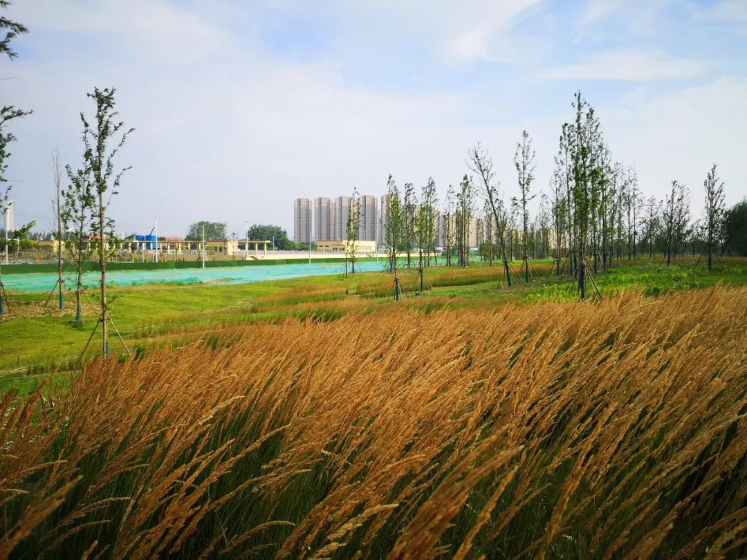 9月15-19日北京活动等你来，论坛+考察+花境，三大亮点，许多干货,欢迎围观