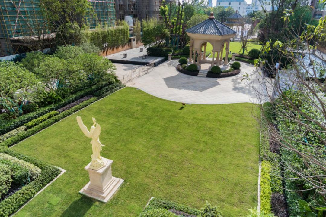 强势崛起!住在南昌这里的有福了……