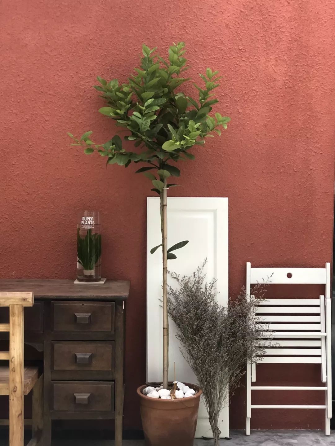 汕头|闹市取静，院子里飘出来虹吸的咖啡香气