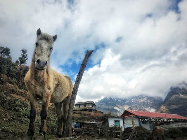 徒步游尼泊尔视频,尼泊尔徒步abc小环线攻略