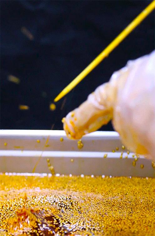 成都网红小吃棒棒鸡,网红小吃棒棒鸡