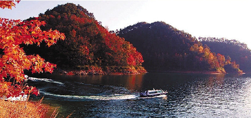 滨州市朗诵协会新年诗会,滨州诗词朗诵协会