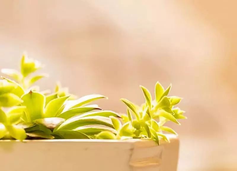 自我提升的最佳方法,自我提升的方法