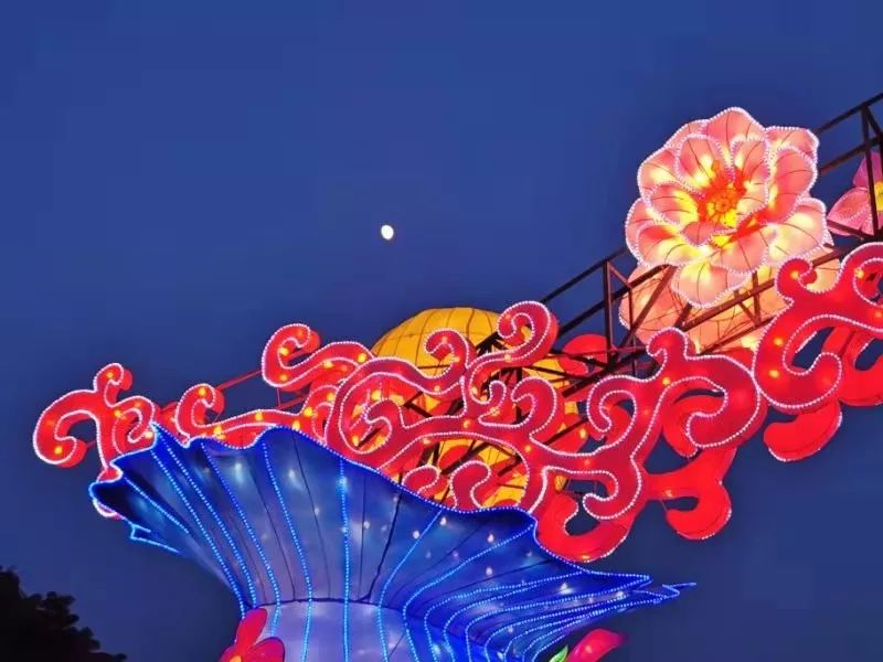 白天赏花晚上看灯光秀意境餐厅,云台花园看花灯