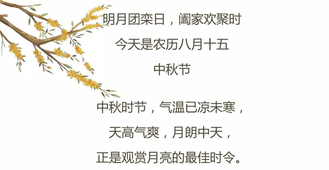 但愿人长久千里共婵娟跟中秋有关,但愿人长久千里共婵娟是写中秋吗