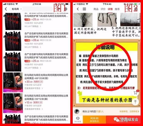 绿会紧急呼吁：电商平台加强“诱鸟器”、“粘鸟网”售卖自查，共护候鸟南迁