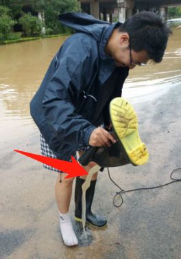 预防登革热时刻在行动,科普清理小积水防控登革热