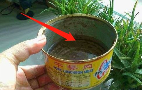 预防登革热时刻在行动,科普清理小积水防控登革热