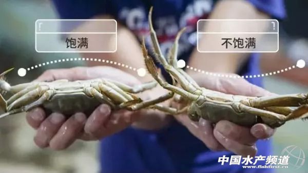 21年大闸蟹最佳食用时间,史上最全的大闸蟹食用指南