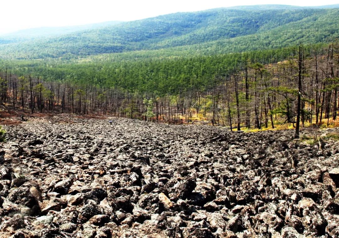 阿里河山泉水，清甜甘冽，喝上伊勒呼里的泉水心醉神迷