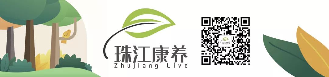 如果你手上有一个印记,香烟的几种常见类型