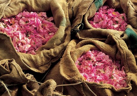 「留学」博物馆周日闭馆也让参观？只因我是VVIP