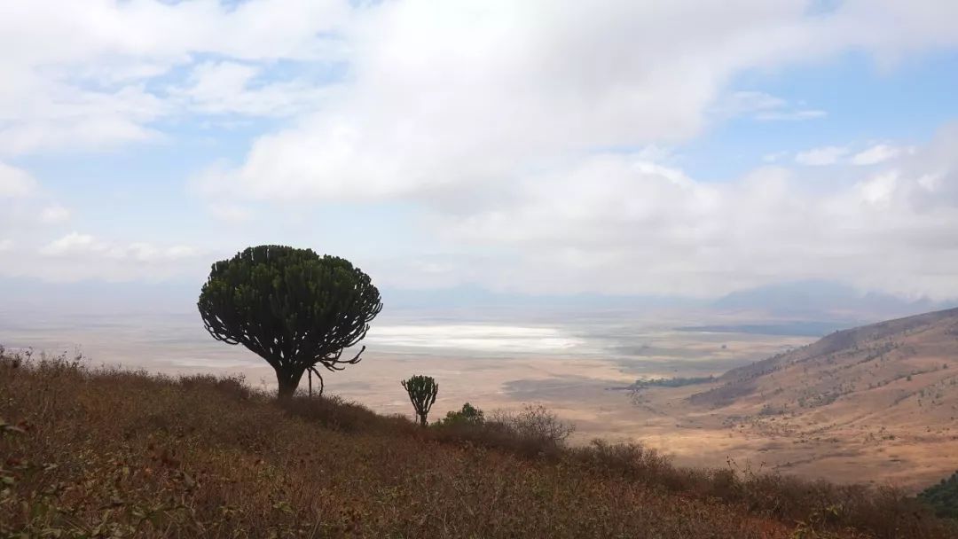 鍧︽灏间簹涓庡ぇ鑷劧,鍧︽灏间簹鑷劧椋庡厜鐪熺編