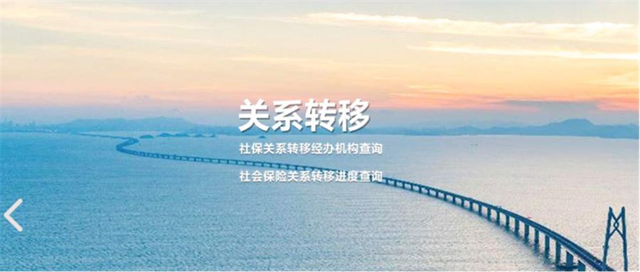 秦皇岛人社app如何查保险,秦皇岛人社怎么查询五险缴费记录