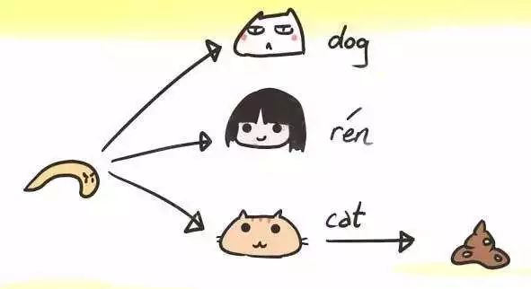 怀孕了能养宠物吗猫和狗,怀孕了养宠物还能继续养吗