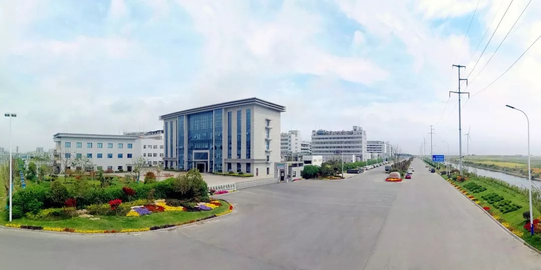 老马的一天600字记叙文骆驼祥子 (老马开心的一天)