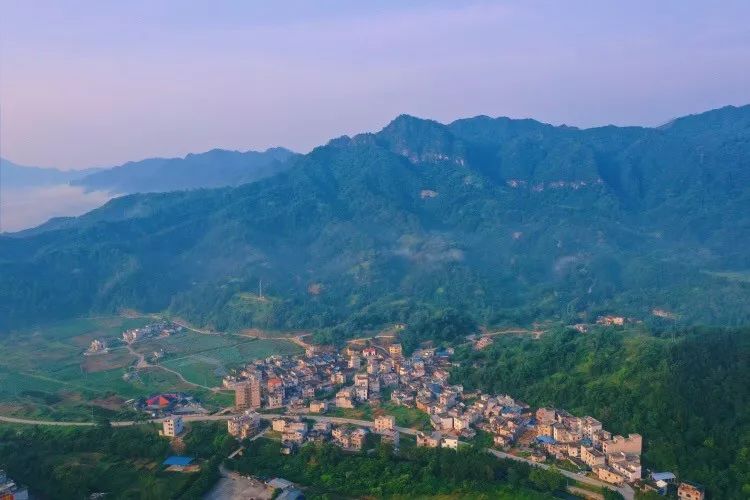 平南新消息,平南最新动态